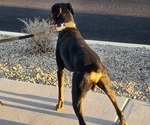 Small #2 Breeder Profile image