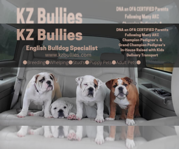 Medium Photo #1  Breeder Profile in MONTGOMERY, MI, USA