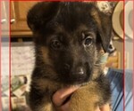 Small #3 Breeder Profile image