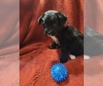 Small #9 Breeder Profile image