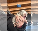 Small #2 Breeder Profile image