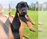 Small #7 Breeder Profile image
