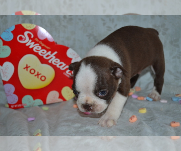 Medium Photo #1  Breeder Profile in GREENWOOD, WI, USA