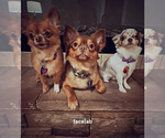 Small #56 Breeder Profile image