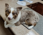 Small breeder photo