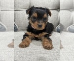 Small #3 Breeder Profile image