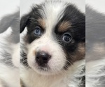 Small #14 Breeder Profile image