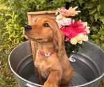 Small #5 Breeder Profile image