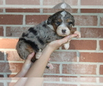 Small #5 Breeder Profile image