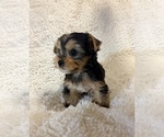 Small #11 Breeder Profile image