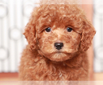 Small #6 Breeder Profile image