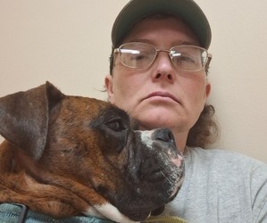 Boxer Dog Breeder near HOPKINS, MI, USA