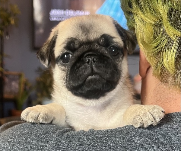 Medium Photo #2  Breeder Profile in PRINEVILLE, OR, USA