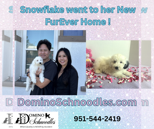 Medium Photo #14  Breeder Profile in MORENO VALLEY, CA, USA