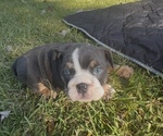 Small #9 Breeder Profile image