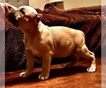 Small #8 Breeder Profile image