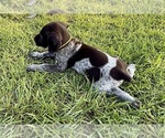 Small #31 Breeder Profile image