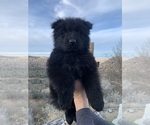 Small #131 Breeder Profile image