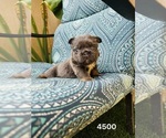 Small #3 Breeder Profile image