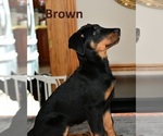 Small #2 Breeder Profile image