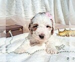 Small #9 Breeder Profile image