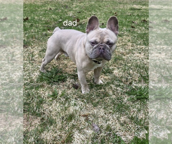 Medium Photo #1  Breeder Profile in MAPLETON, ME, USA