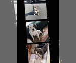 Small #12 Breeder Profile image