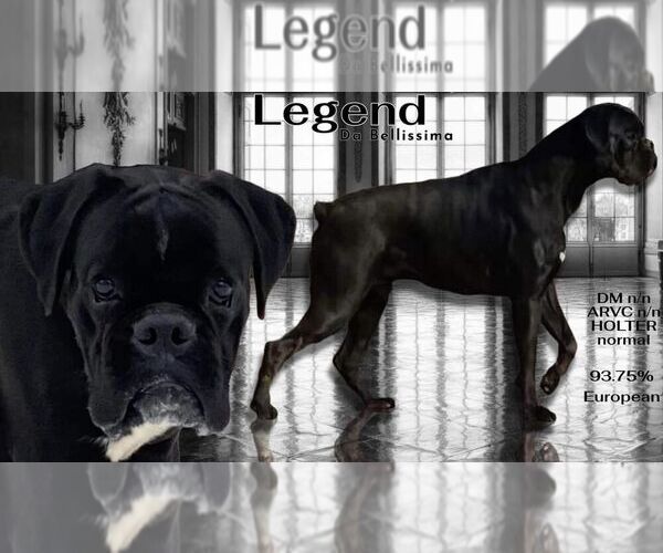 Medium Photo #1  Breeder Profile in MOORESBORO, NC, USA