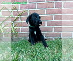 Small #4 Breeder Profile image