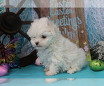 Small #29 Breeder Profile image