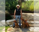 Small #4 Breeder Profile image