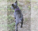 Small #10 Breeder Profile image