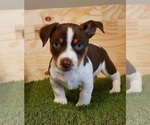 Small #34 Breeder Profile image