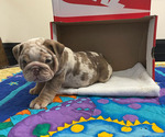 Small #5 Breeder Profile image