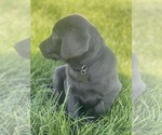 Small #16 Breeder Profile image
