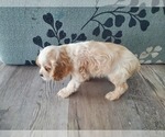 Small #4 Breeder Profile image