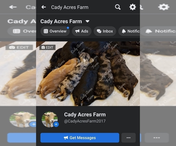 Medium Photo #1  Breeder Profile in BOONVILLE, NY, USA