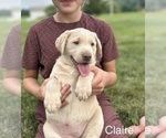 Small #3 Breeder Profile image