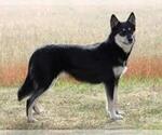 Small #7 Breeder Profile image