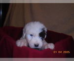 Small #2 Breeder Profile image