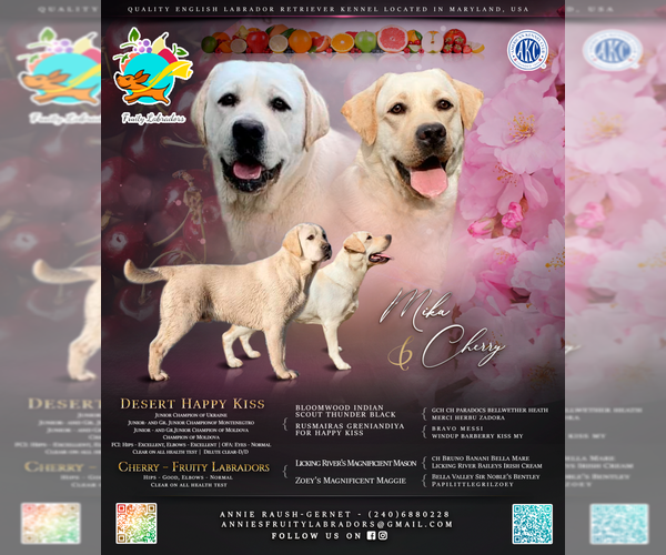 Medium Photo #1  Breeder Profile in MOUNT AIRY, MD, USA