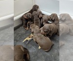Small #15 Breeder Profile image