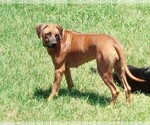 Small #20 Breeder Profile image