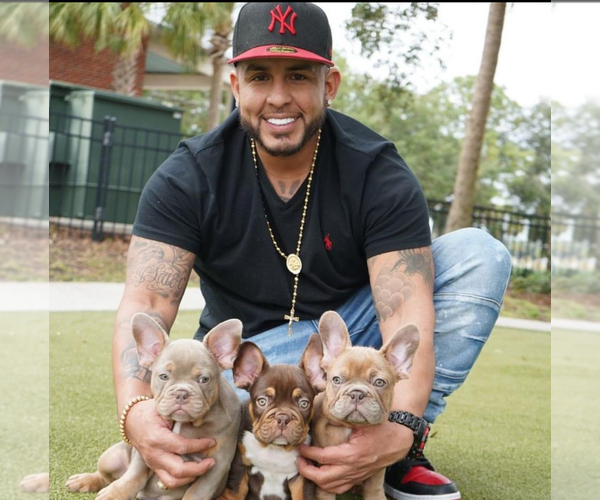 Medium Photo #1  Breeder Profile in BRANDON, FL, USA