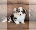Small Photo #15  Breeder Profile in SANDY VALLEY, NV, USA