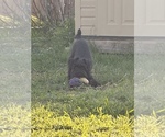 Small #11 Breeder Profile image