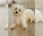 Small #7 Breeder Profile image