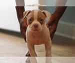 Small #17 Breeder Profile image