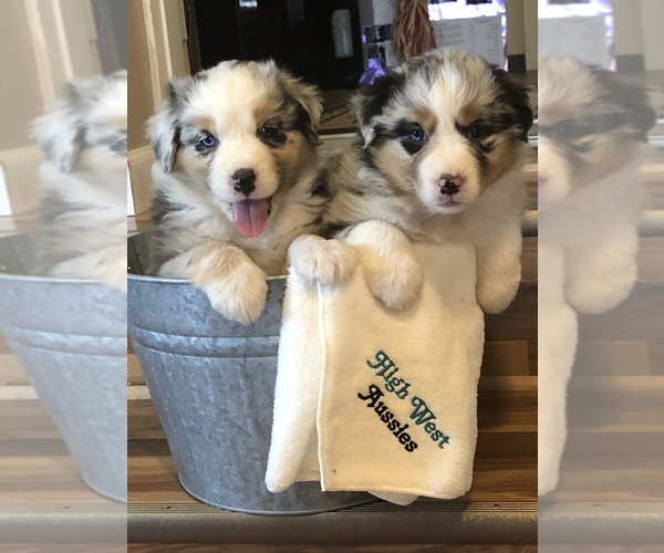 Medium Photo #1  Breeder Profile in PENDLETON, OR, USA