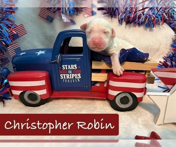 Medium Photo #3  Breeder Profile in MENIFEE, CA, USA